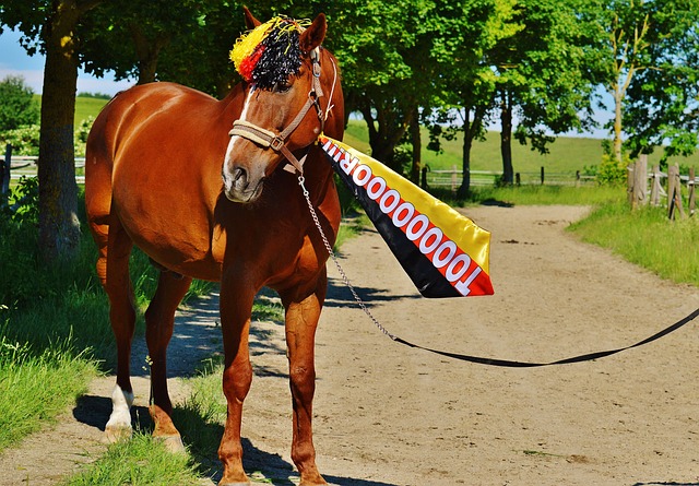 恢复时间不 恢复时间不