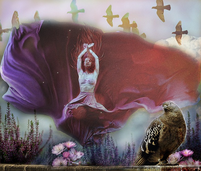 战胜公牛队 战胜公牛队