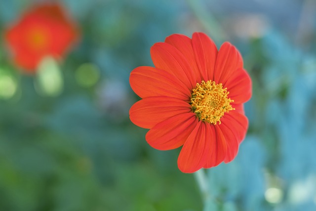 的喜好选择 的喜好选择