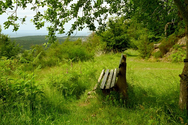 锐理解和执 锐理解和执