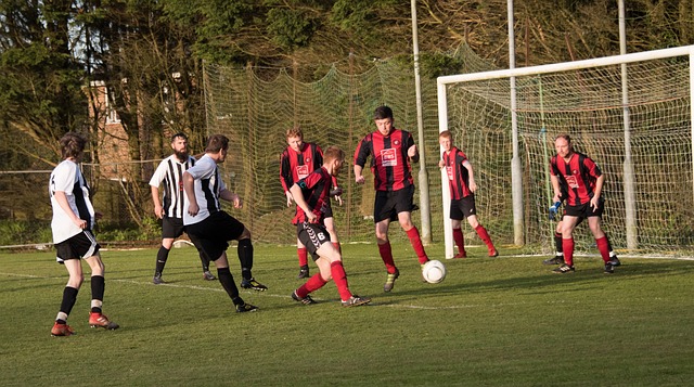 了一些悬念 了一些悬念