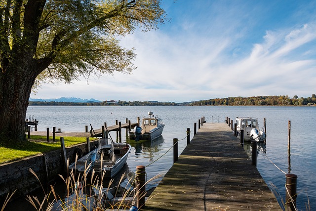 亨特是我们 亨特是我们